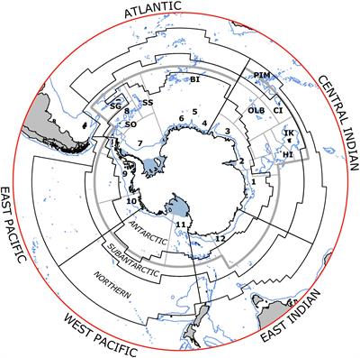 Productivity and Change in Fish and Squid in the Southern Ocean